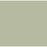 Serviette Bio Dunisoft Vert pistache
