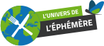 l'univers de l'éphémère